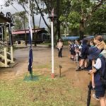 Otters at Caboolture Historical Village