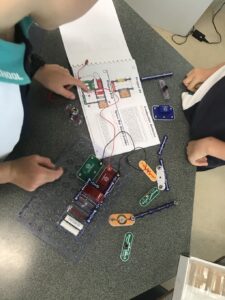 Otters learning snap circuits