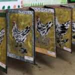 Community Caboolture show Chickens 2022