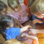 Sea Stars learn about states of water