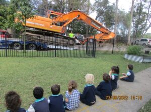 Sea Turtles observe our school construction