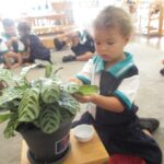 Dugongs learn about plants