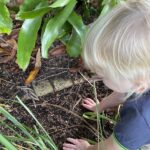 Toddlers spot caterpillars